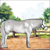 Horse Color:Platinum White Spotted Chocolate Palomino Dun Splash 