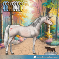 Horse Color:Silver Brown Tobiano Appaloosa Rabicano 