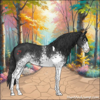 Horse Color:White Spotted Black Tobiano Rabicano