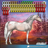 Horse Color:White Spotted Silver Brown Tobiano Appaloosa Rabicano 