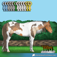 Horse Color:Sable Cream Champagne Splash Tobiano Varnish  and Buckskin Tobiano Varnish 