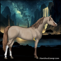 Horse Color:Liver Red Dun Rabicano 