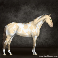 Horse Color:White Spotted Amber Cream Champagne Dun Rabicano 