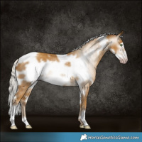 Horse Color:Gray White Spotted Silver Classic Cream Champagne Frame 