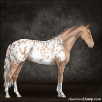 Horse Color:Silver Classic Champagne Appaloosa Rabicano 