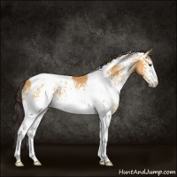 Horse Color:White Spotted Buckskin Dun Tobiano 