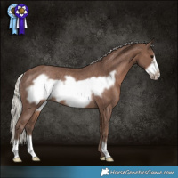 Horse Color:Silver Black Frame Rabicano