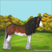 Horse Color:Brown Splash