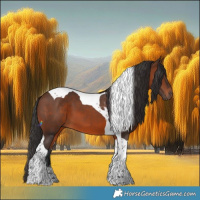 Horse Color:Brown Tobiano 