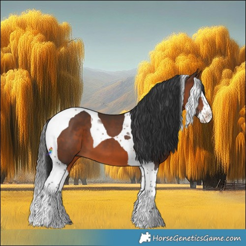 Horse Color:Brown Splash Tobiano 