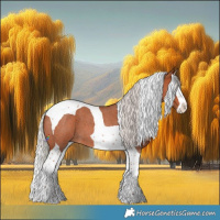 Horse Color:Silver Bay Roan Splash Tobiano 