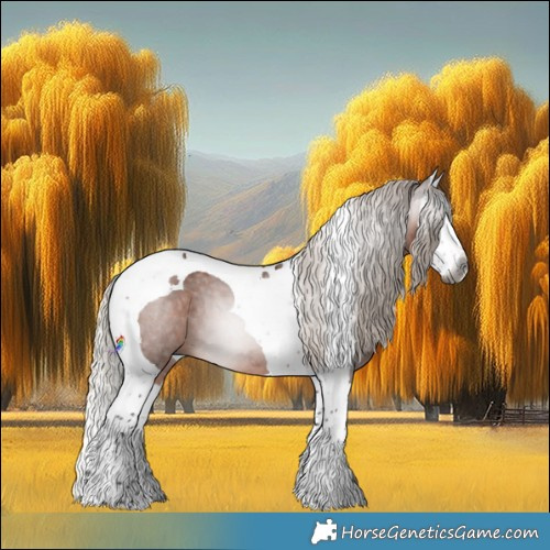 Horse Color:Gray Silver Bay Roan Splash Tobiano 