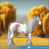 Horse Color:Gray Silver Bay Roan Splash Tobiano