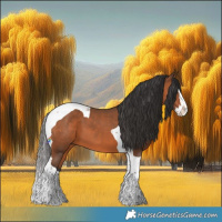 Horse Color:Bay Splash Tobiano 
