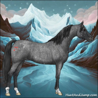 Horse Color:Blue Roan Snowflake Varnish 