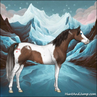 Horse Color:Liver Chestnut Splash Tobiano 