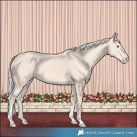 Horse Color:Cremello Tobiano
