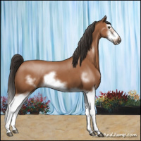 Horse Color:Bay Splash Frame
