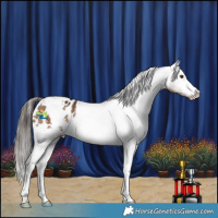 Horse Color:White Spotted Liver Red Dun Varnish Brindle 