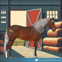 Horse Color:Silver Brown Tobiano 