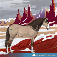 Horse Color:Liver Red Dun 