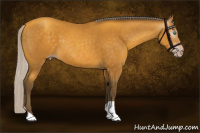 Horse Color:Gray Silver Amber Cream Champagne 