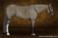 Horse Color:Smoky Grullo 