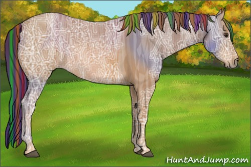 Horse Color:Painted Chestnut Ice Rabicano 