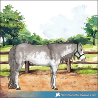 Horse Color:Platinum White Spotted Liver Red Dun Sabino 