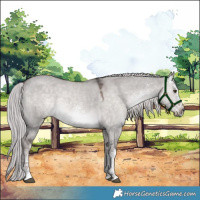 Horse Color:Platinum White Spotted Chocolate Palomino Dun 