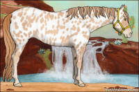 Horse Color:Gold Champagne Near Leopard 