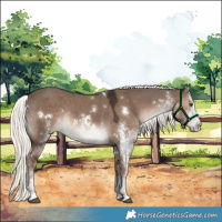 Horse Color:White Spotted Liver Red Dun Mushroom Rabicano 