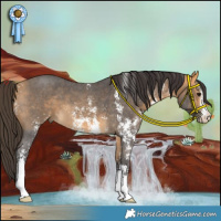 Horse Color:Buckskin Sabino 