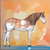 Horse Color:Plaid  White Spotted Liver Red Dun Splash Brindle 