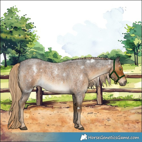 Horse Color:White Spotted Chocolate Palomino Roan 