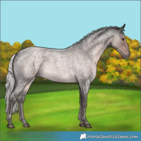 Horse Color:Platinum Chocolate Palomino Roan 