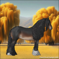 Horse Color:Brown Tobiano Rabicano 