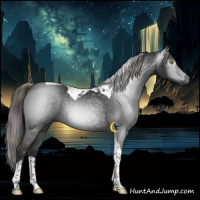 Horse Color:Gray Liver Chestnut Tobiano 