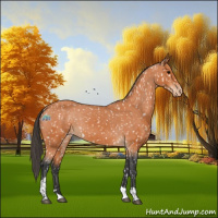 Horse Color:Brown Tobiano Snowflake Varnish