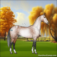Horse Color:Gray Brown Tobiano Frame Appaloosa