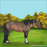 Horse Color:Brown Dun Tobiano Brindle 