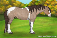 Horse Color:Liver Red Dun Roan Splash Tobiano Rabicano 