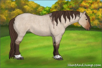 Horse Color:Liver Red Dun Roan Tobiano Rabicano 