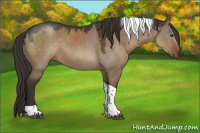 Horse Color:Liver Red Dun Tobiano Rabicano 