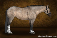 Horse Color:Brown Dun Tobiano Brindle 