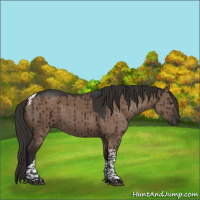 Horse Color:Liver Red Dun Tobiano Brindle 