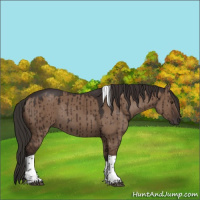 Horse Color:Liver Red Dun Tobiano Rabicano Brindle 