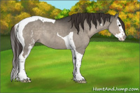 Horse Color:White Spotted Liver Red Dun Splash Tobiano Rabicano 
