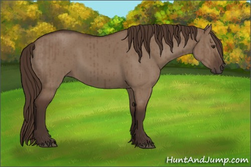 Horse Color:Liver Red Dun Brindle 