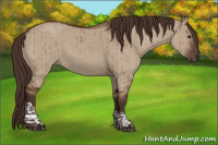 Horse Color:Liver Red Dun Tobiano Rabicano Brindle 